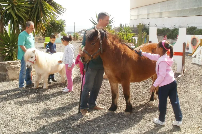 Ponys putzen im Tierheim aktion tier Teneriffa