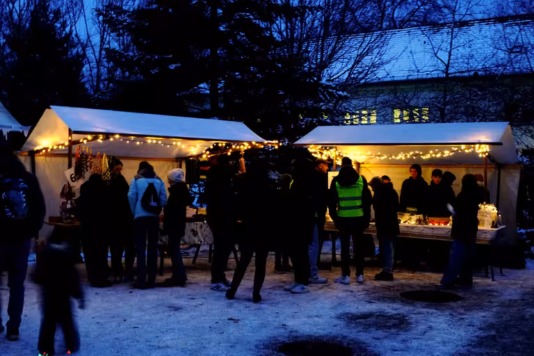Winterliches Treiben auf der Knirpsenfarm