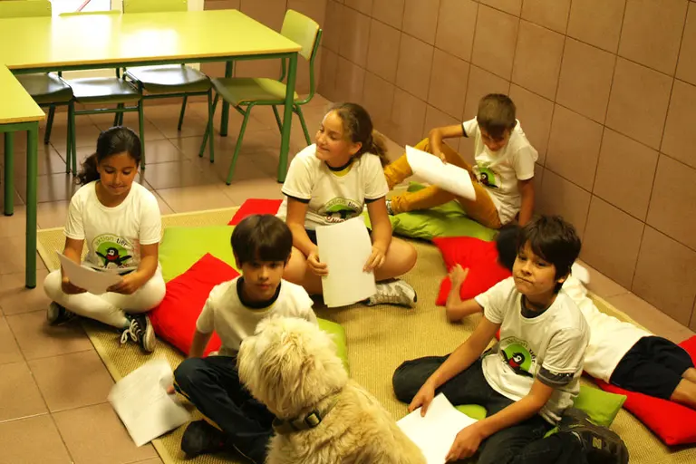 Kinder im Tierschutzzimmer Teneriffa 